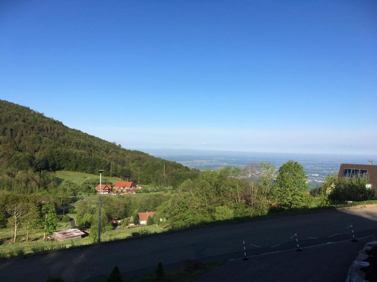 Apartment Ferienwohnung Brandmatt - Weitblick - 54Qm Sasbachwalden Esterno foto